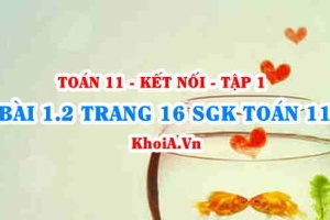Bài 1.2 trang 16 SGK Toán 11 tập 1 Kết nối tri thức